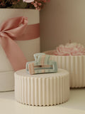 Gestreept Turquoise-Roze Bo Clip